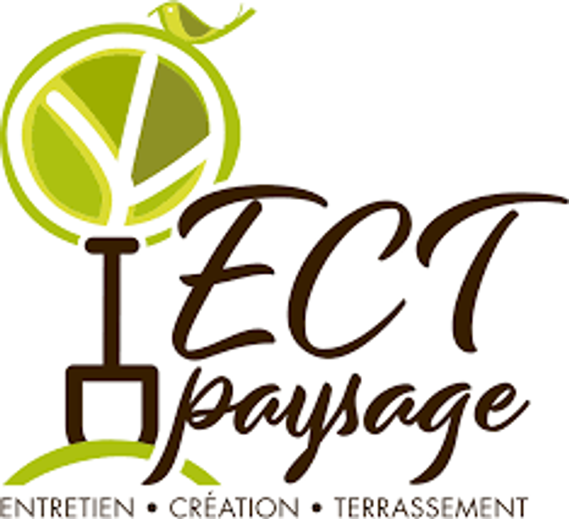 ECT